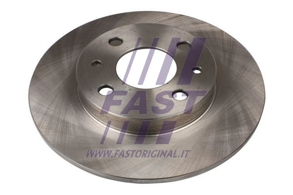 Brake Disc (FT31002)