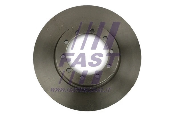 Brake Disc (FT31517)