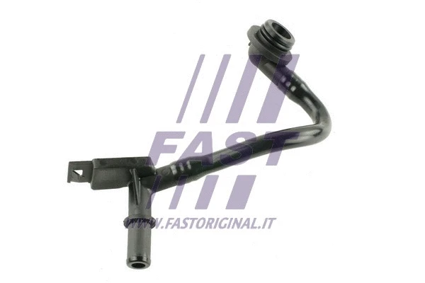 Radiator Hose (FT61963)