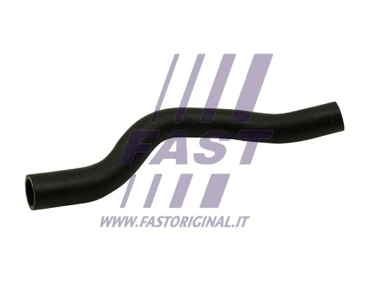 Radiator Hose (FT61086)