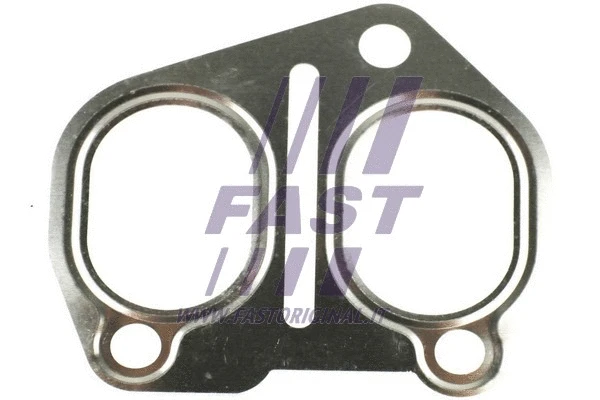 Gasket, exhaust manifold (FT49415)