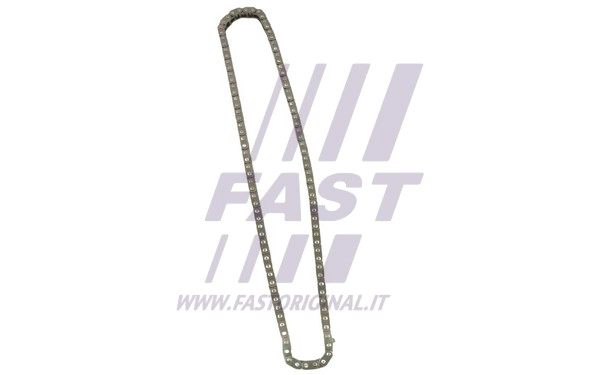 Timing Chain (FT41808)