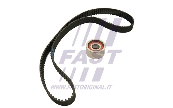 Timing Belt (FT41114)
