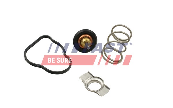 Thermostat, coolant (FT58042)