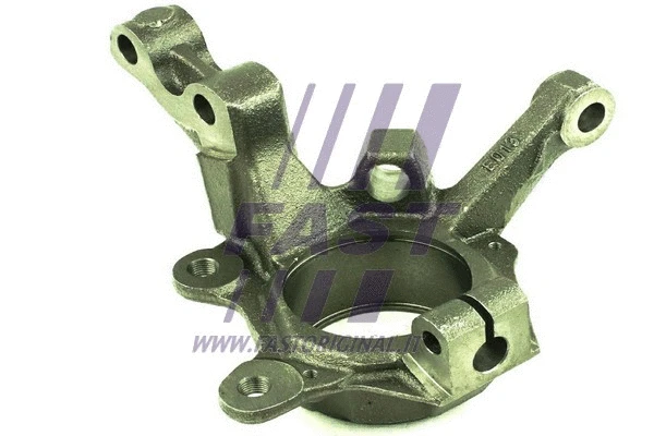 Steering Knuckle, wheel suspension (FT13533)