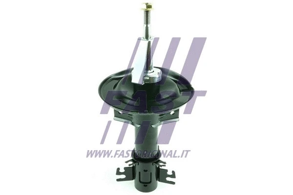 Shock Absorber (FT11317)