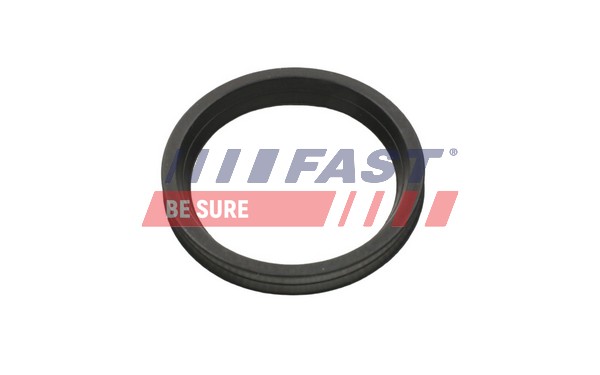 Seal Ring, charge air hose