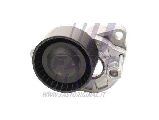Belt Tensioner, V-ribbed belt (FT44689)