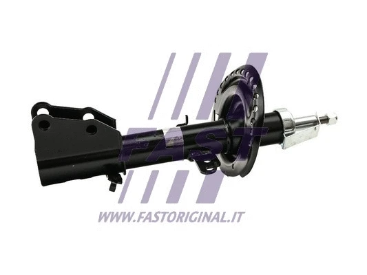 Shock Absorber (FT11130)