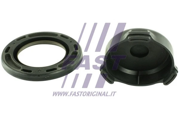 Shaft Seal, crankshaft (FT49814)