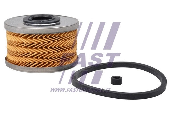 Fuel Filter (FT39070)