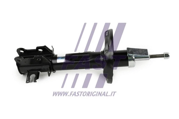 Shock Absorber (FT11073)