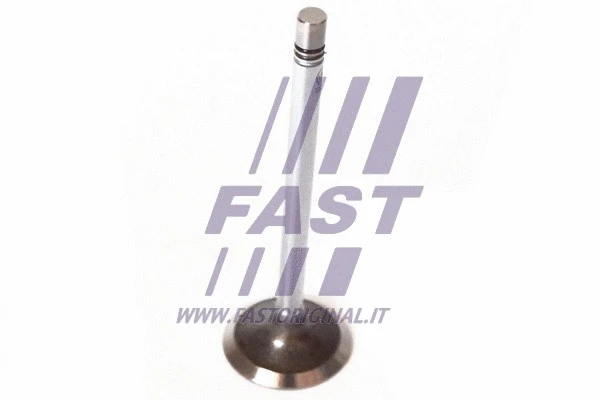 Intake Valve (FT50135)
