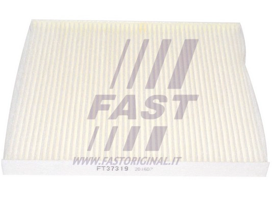 Filter, cabin air (FT37319)