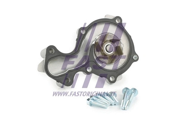 Water Pump, engine cooling (FT57189)