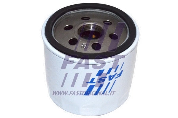 Oil Filter (FT38032)