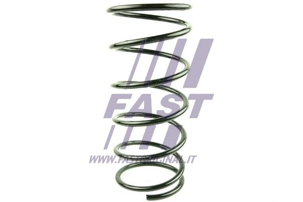 Suspension Spring (FT12281)