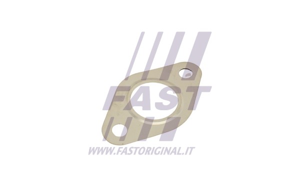 Gasket, EGR valve (FT50615)