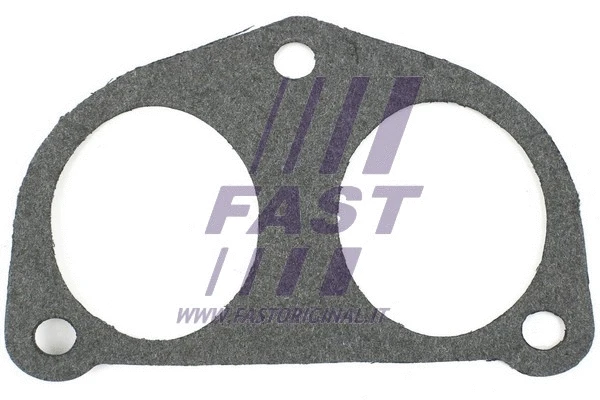 Gasket, intake manifold (FT49432)