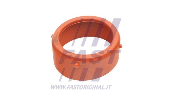 Gasket, charger (FT48813)