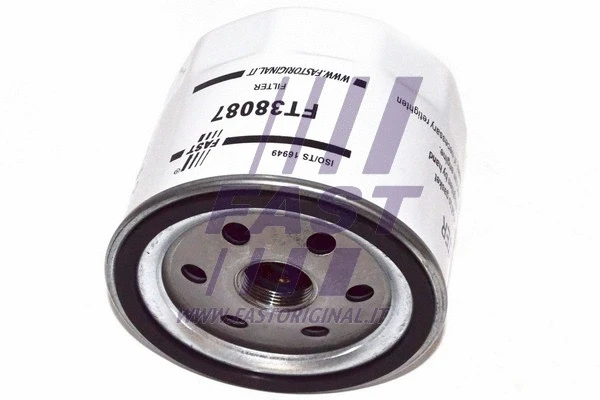 Oil Filter (FT38087)