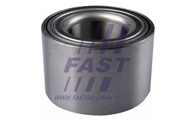 Wheel Bearing (FT21009)