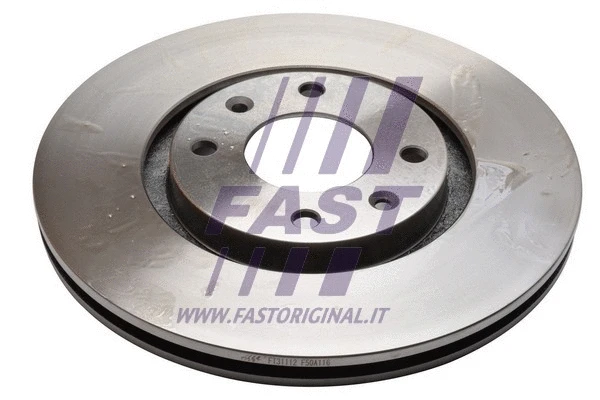 Brake Disc (FT31112)