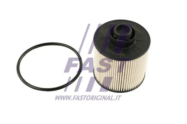 Fuel Filter (FT39306)
