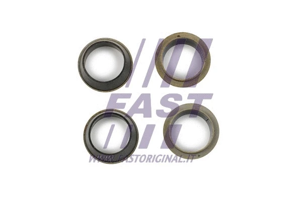 Seal Kit, injector nozzle (FT49843)