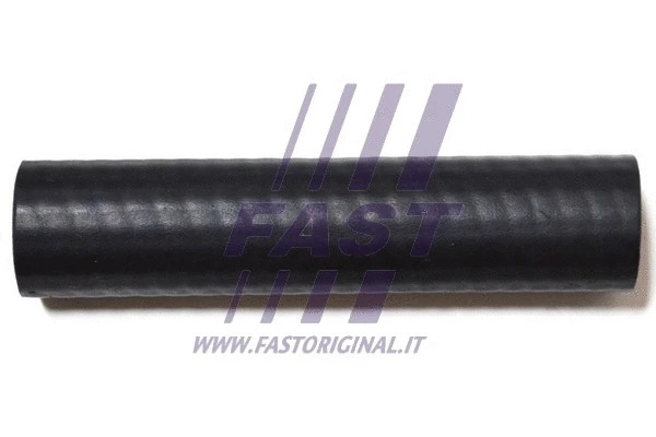 Radiator Hose (FT61053)