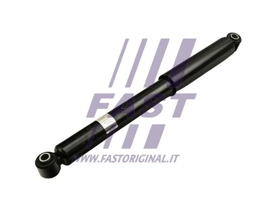 Shock Absorber (FT11075)
