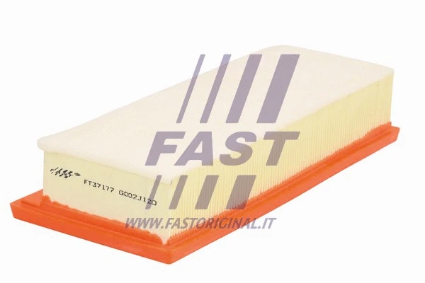Air Filter (FT37177)