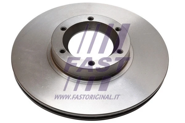 Brake Disc (FT31130)