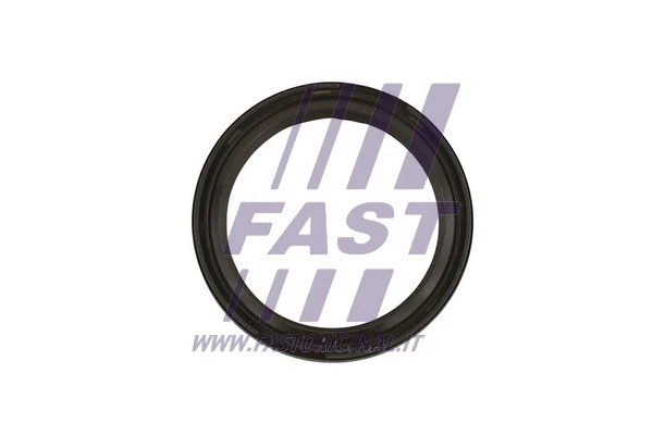 Shaft Seal, crankshaft (FT49819)