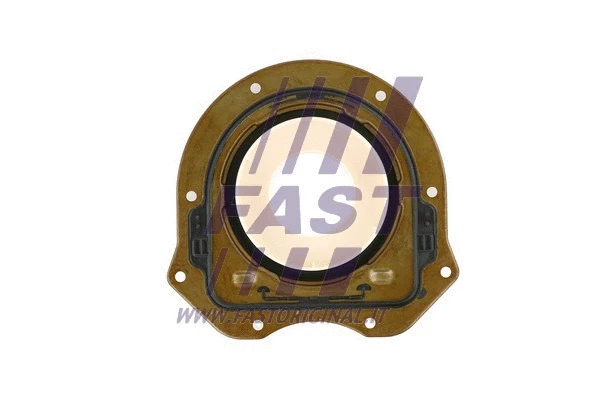 Shaft Seal, crankshaft (FT49749)