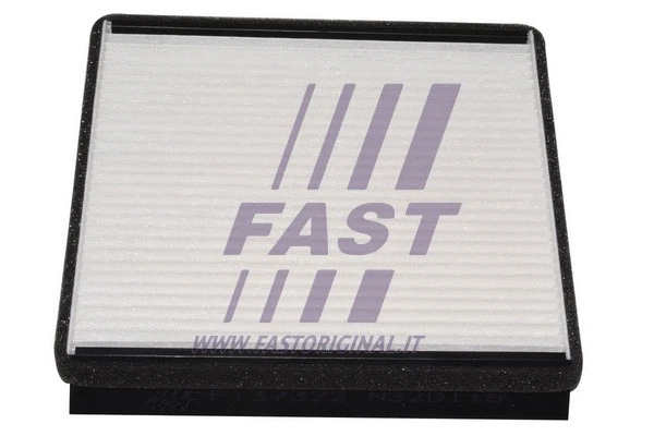 Filter, cabin air (FT37322)