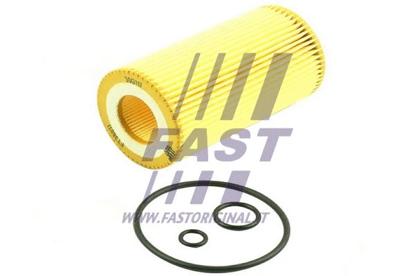 Oil Filter (FT38011)