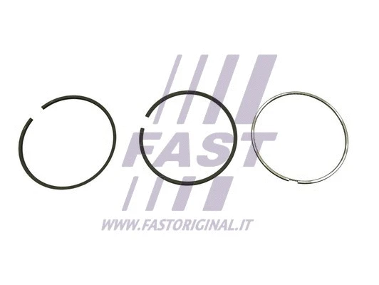 Piston Ring Kit (FT47387/0)