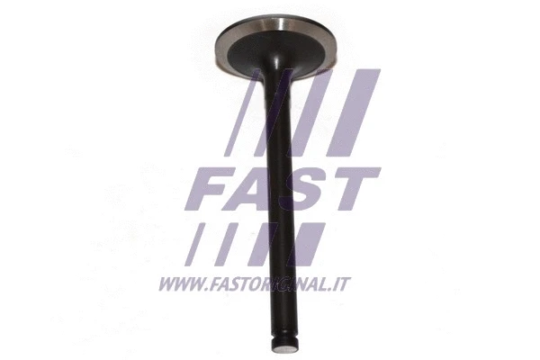 Intake Valve (FT50013)