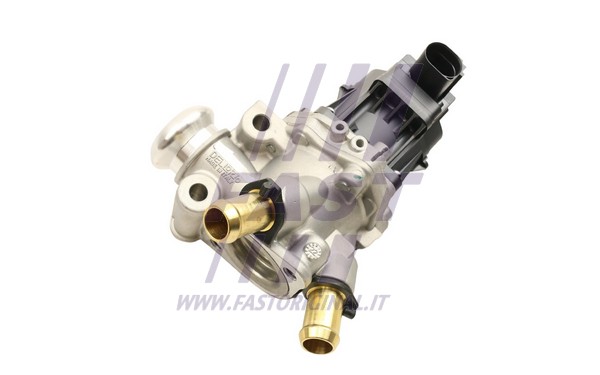 EGR Valve (FT60247)