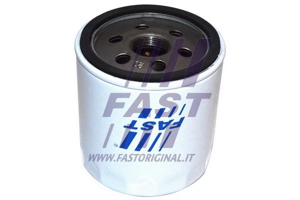 Oil Filter (FT38001)