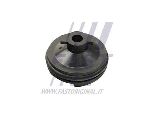 Screw Plug, oil sump (FT49501)