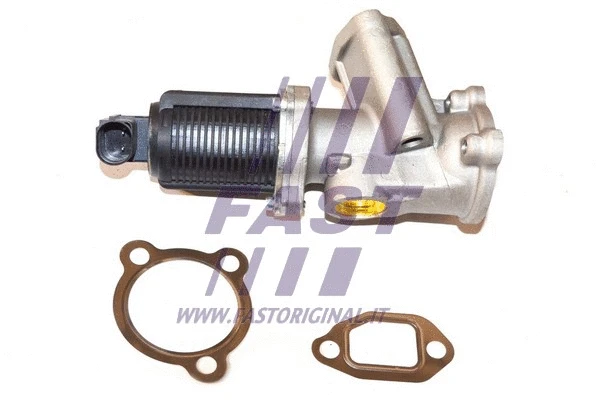 EGR Valve (FT60204)