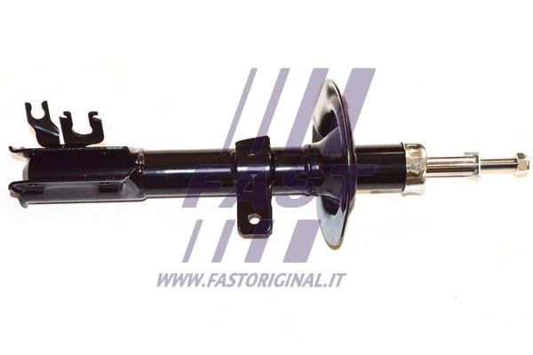 Shock Absorber (FT11269)