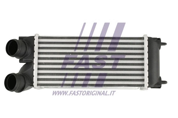 Charge Air Cooler (FT55573)