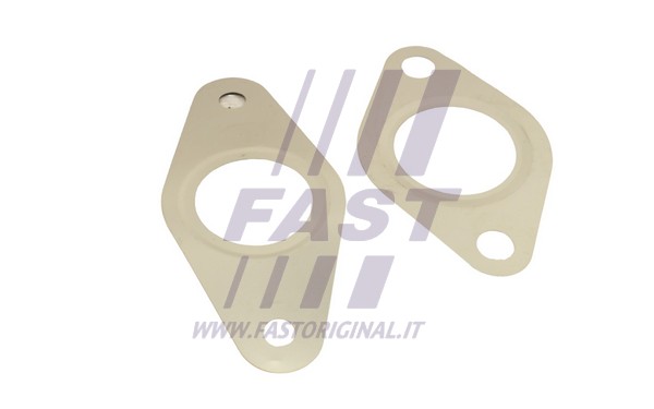 Gasket Set, EGR system (FT50621)