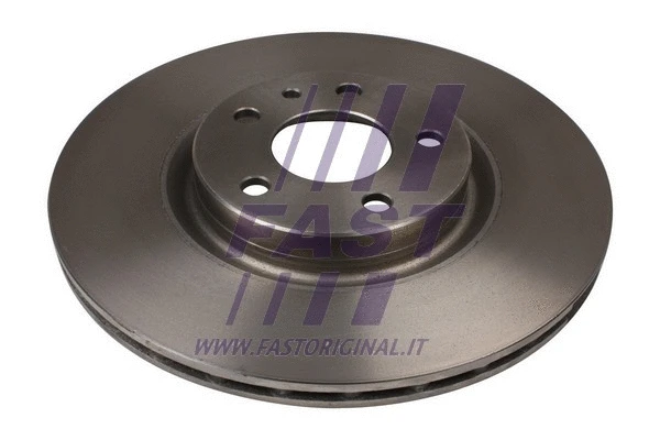 Brake Disc (FT31020)