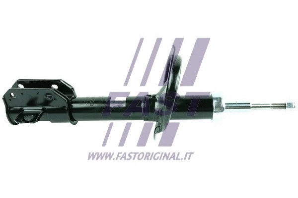 Shock Absorber (FT11006)