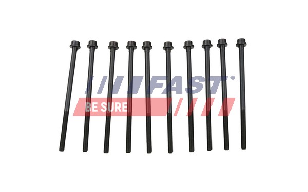 Cylinder Head Bolt Set (FT51507)