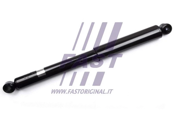 Shock Absorber (FT11313)